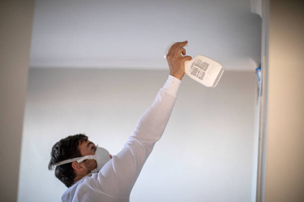 Best Local Mold Removal Service  in Roma, TX