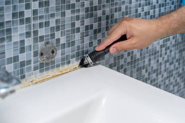 Best Best Mold Removal Companies  in Roma, TX